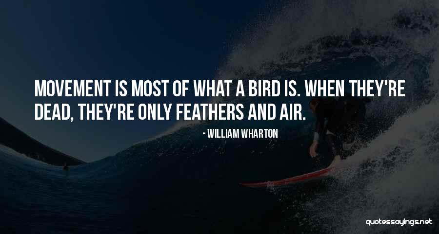 Ocala News Quotes By William Wharton