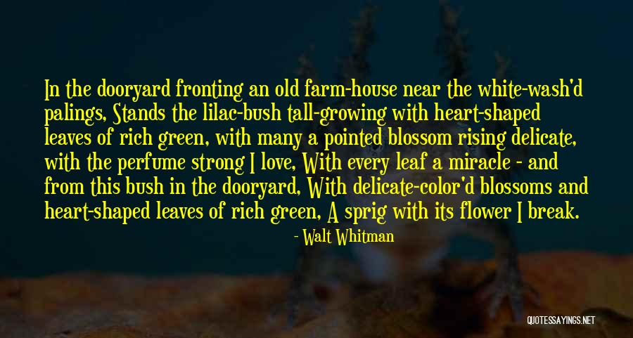 Occam Quotes By Walt Whitman