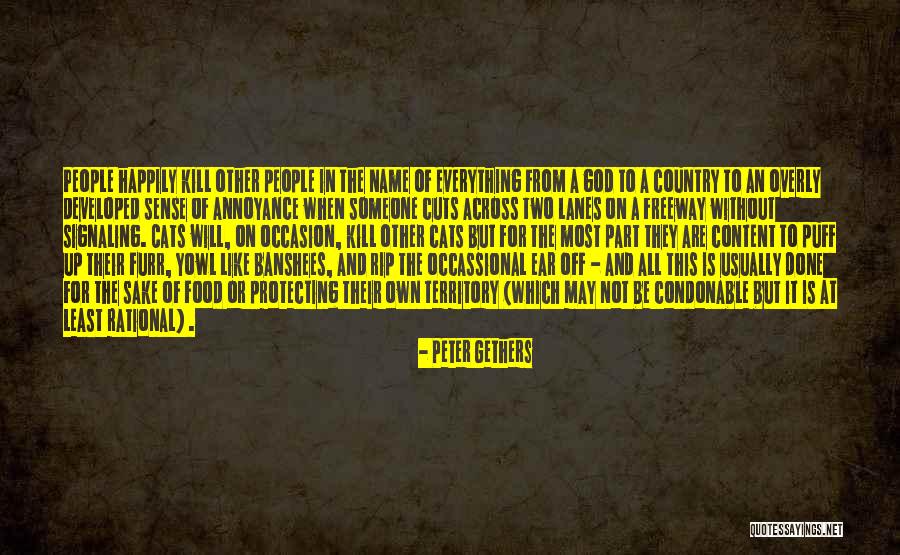 Occassional Quotes By Peter Gethers Occassional Quotes By Peter Gethers