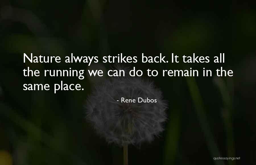 Occhino Paving Quotes By Rene Dubos Occhino Paving Quotes By Rene Dubos