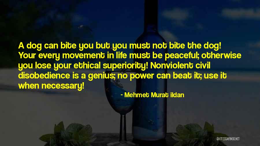 Occupare In Inglese Quotes By Mehmet Murat Ildan Occupare In Inglese Quotes By Mehmet Murat Ildan