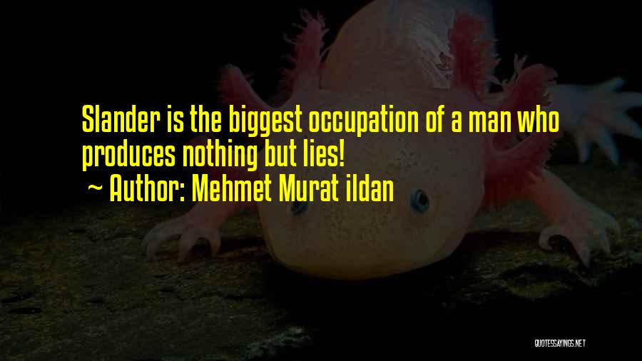 Occupation Quotes By Mehmet Murat Ildan