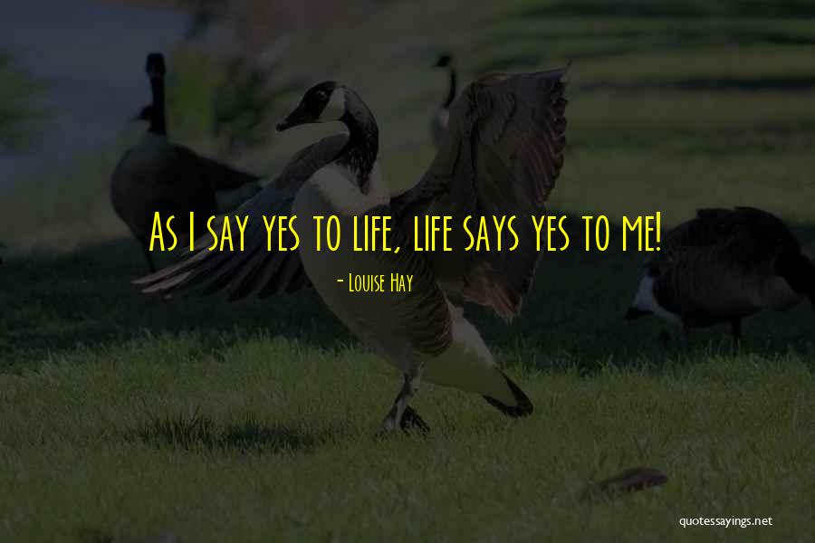 Occupazione Suolo Quotes By Louise Hay Occupazione Suolo Quotes By Louise Hay