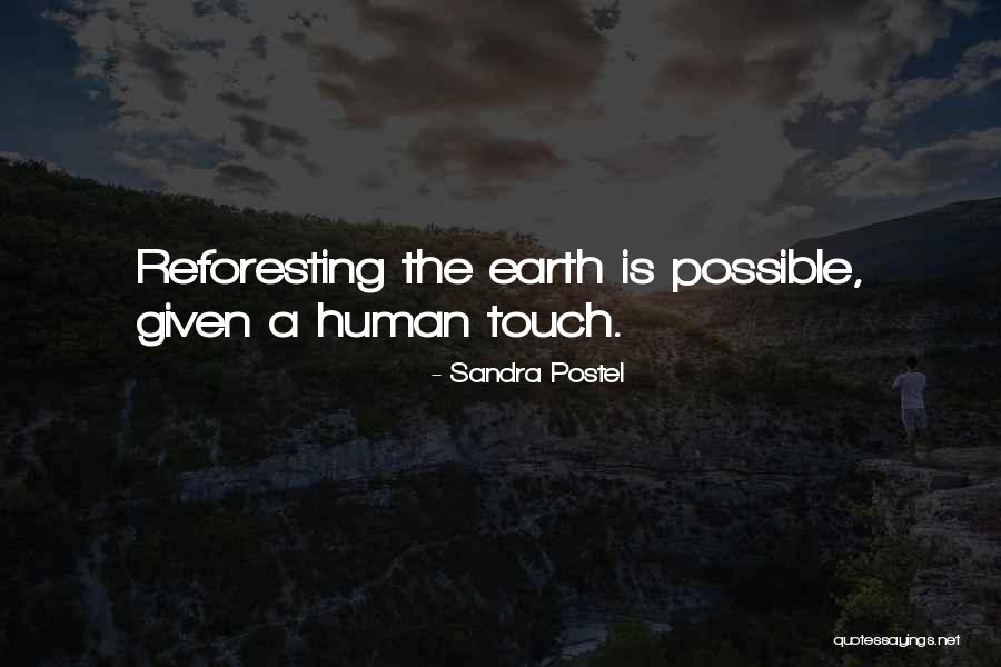 Occupazione Suolo Quotes By Sandra Postel Occupazione Suolo Quotes By Sandra Postel