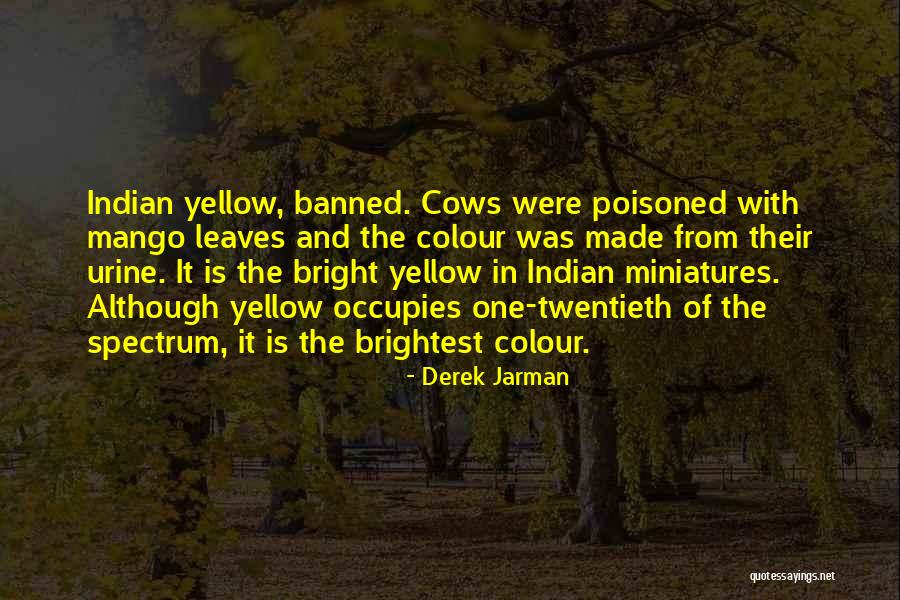 Occupies Quotes By Derek Jarman Occupies Quotes By Derek Jarman