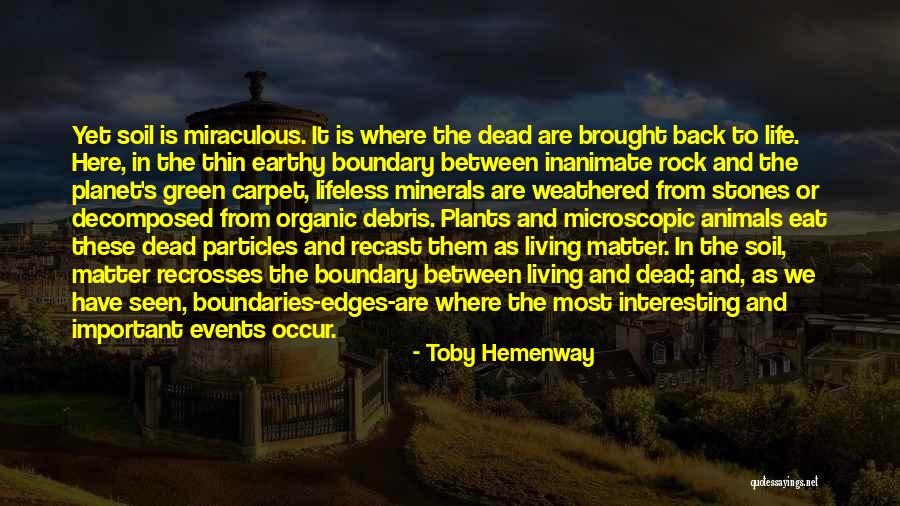 Occur Between Quotes By Toby Hemenway Occur Between Quotes By Toby Hemenway
