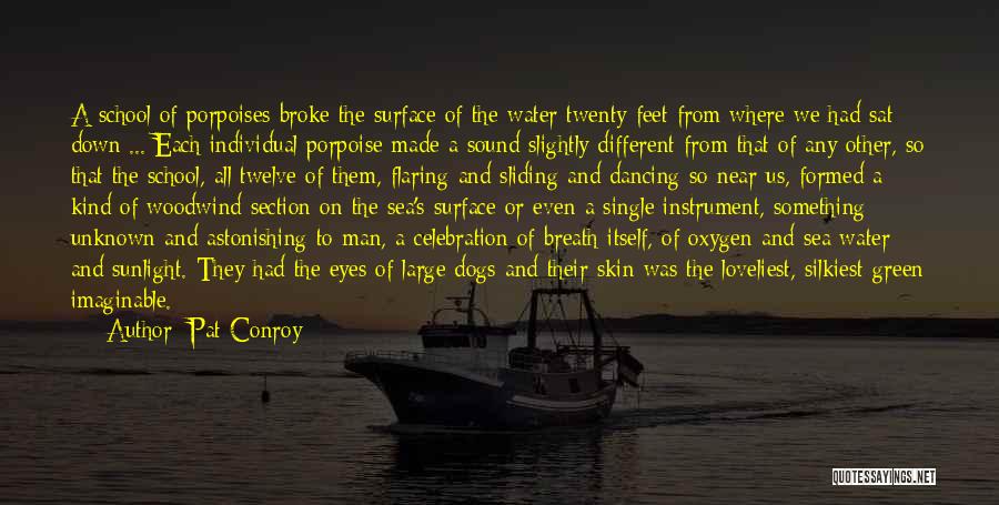 Ocean And Beach Quotes By Pat Conroy