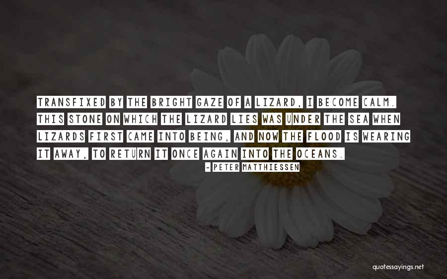 Ocean And Beauty Quotes By Peter Matthiessen Ocean And Beauty Quotes By Peter Matthiessen