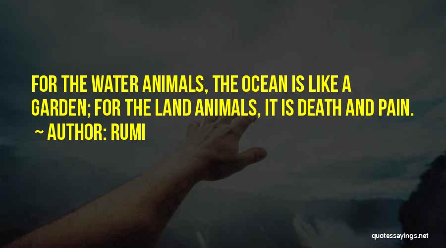 Ocean And Death Quotes By Rumi