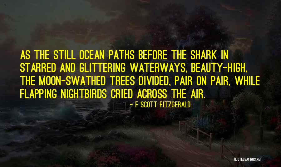 Ocean And Moon Quotes By F Scott Fitzgerald Ocean And Moon Quotes By F Scott Fitzgerald