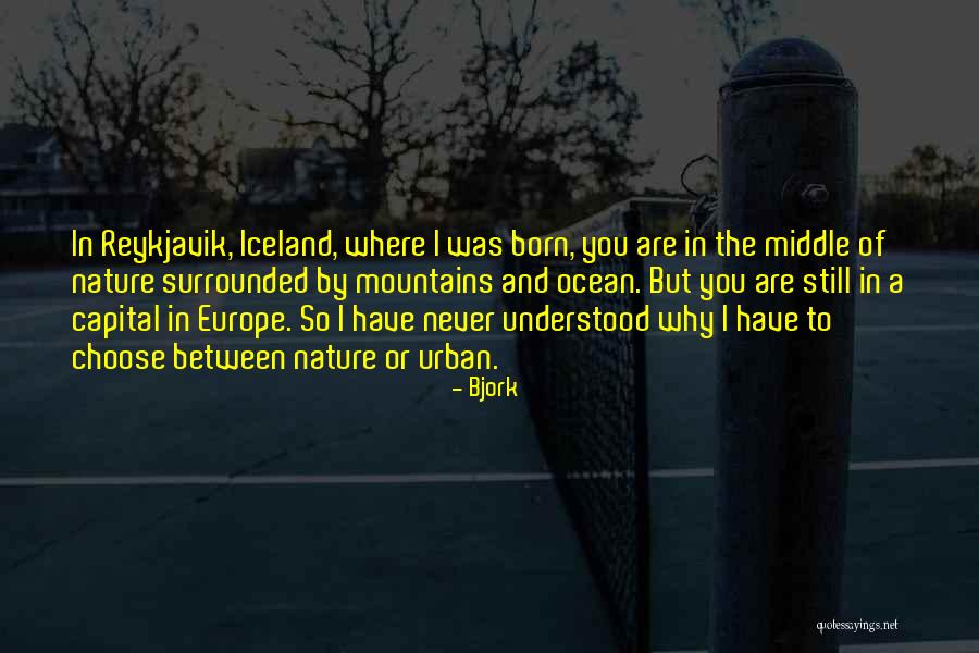 Ocean And Mountains Quotes By Bjork Ocean And Mountains Quotes By Bjork