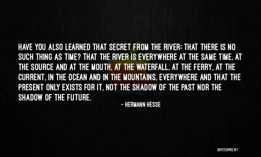 Ocean And Mountains Quotes By Hermann Hesse Ocean And Mountains Quotes By Hermann Hesse