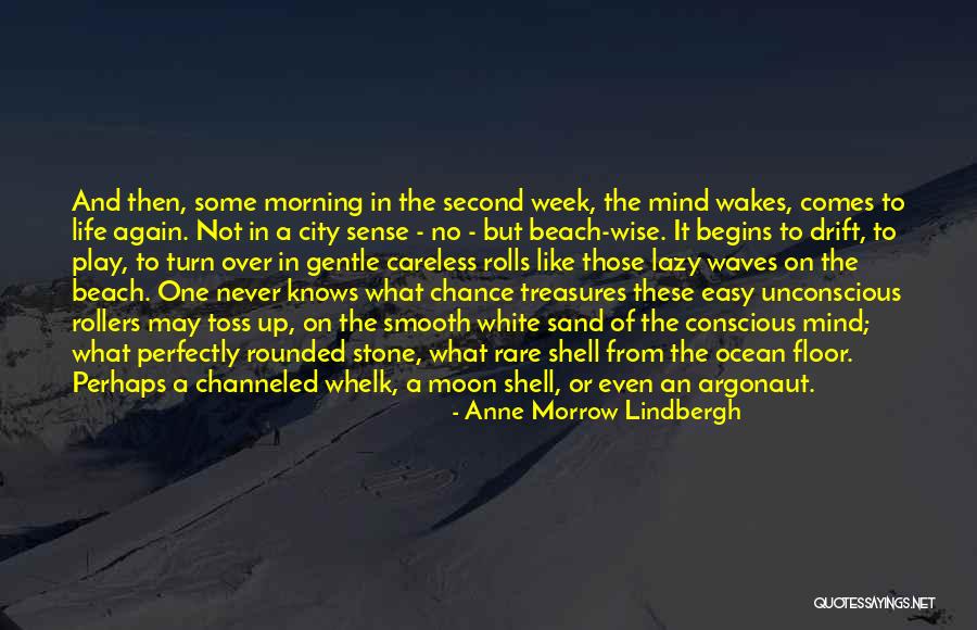 Ocean And Shells Quotes By Anne Morrow Lindbergh Ocean And Shells Quotes By Anne Morrow Lindbergh