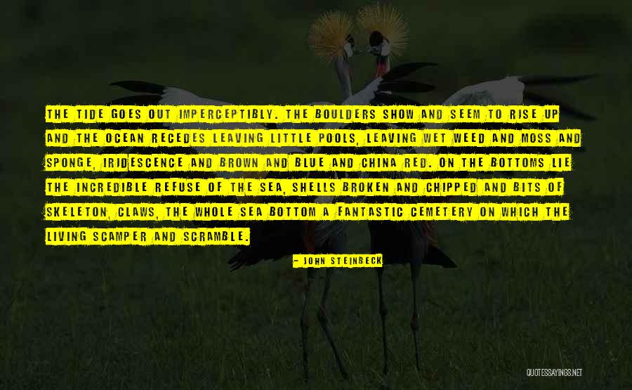 Ocean And Shells Quotes By John Steinbeck Ocean And Shells Quotes By John Steinbeck