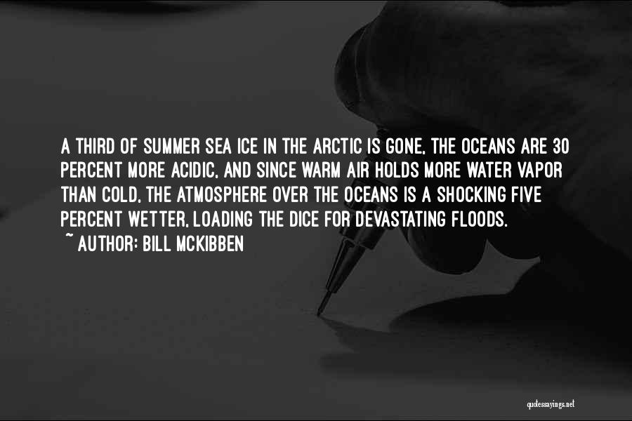 Ocean And Summer Quotes By Bill McKibben