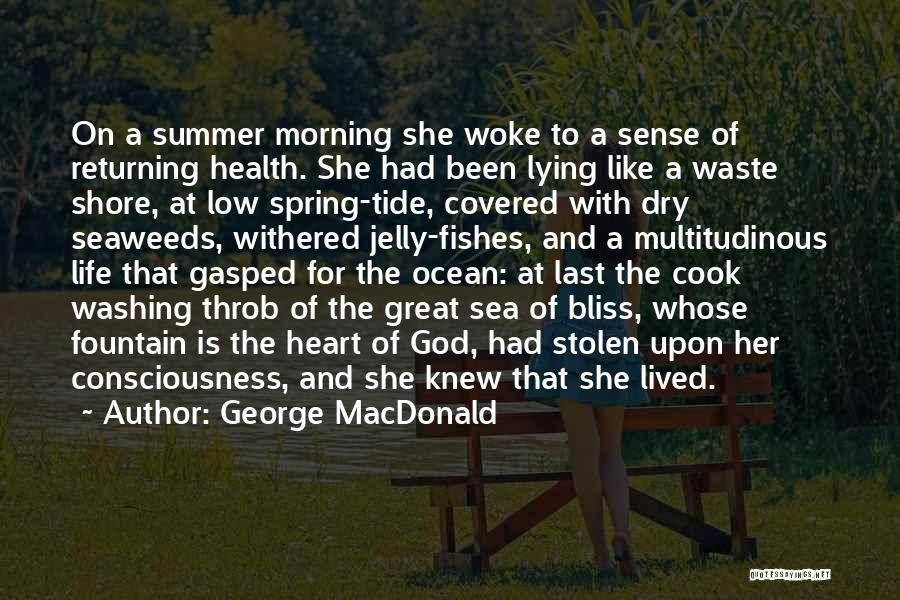 Ocean And Summer Quotes By George MacDonald