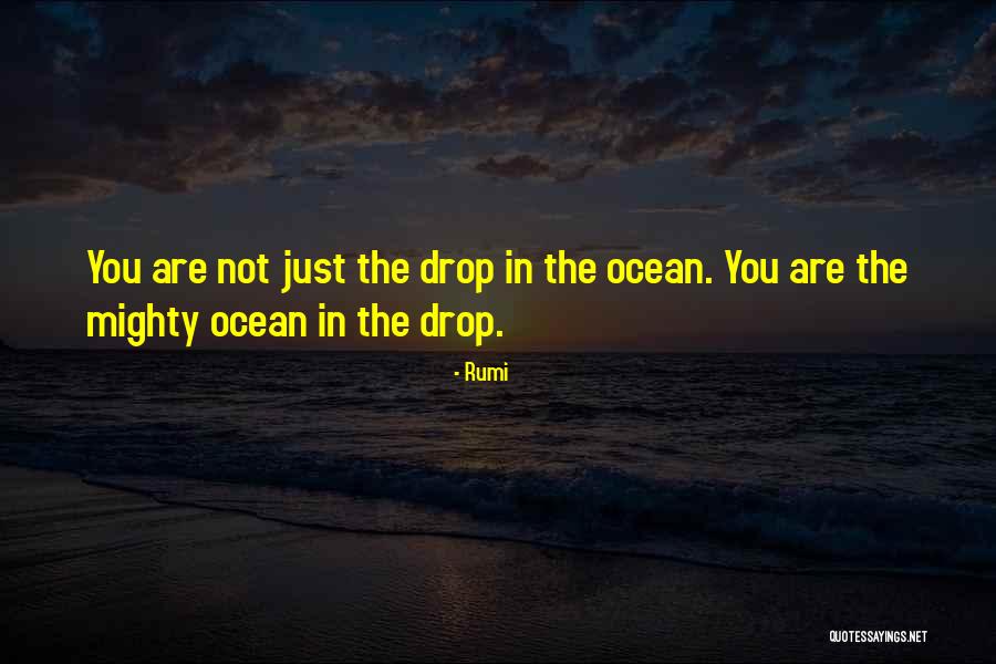 Ocean Drops Quotes By Rumi Ocean Drops Quotes By Rumi