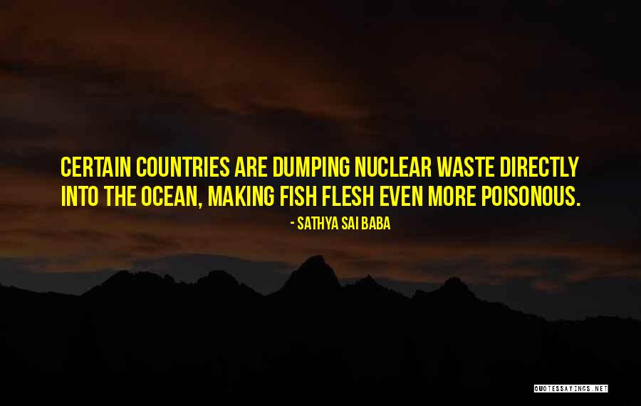 Ocean Dumping Quotes By Sathya Sai Baba