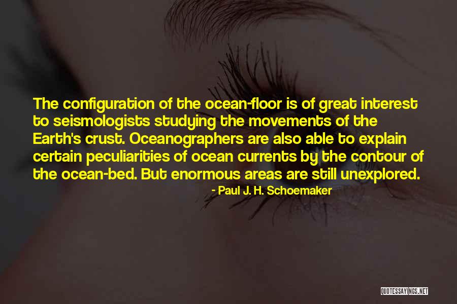 Ocean Floor Quotes By Paul J. H. Schoemaker