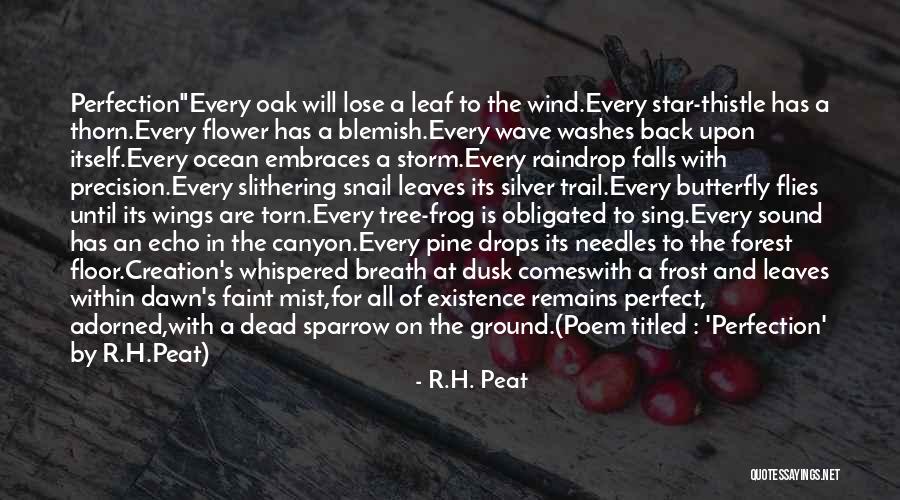 Ocean Floor Quotes By R.H. Peat