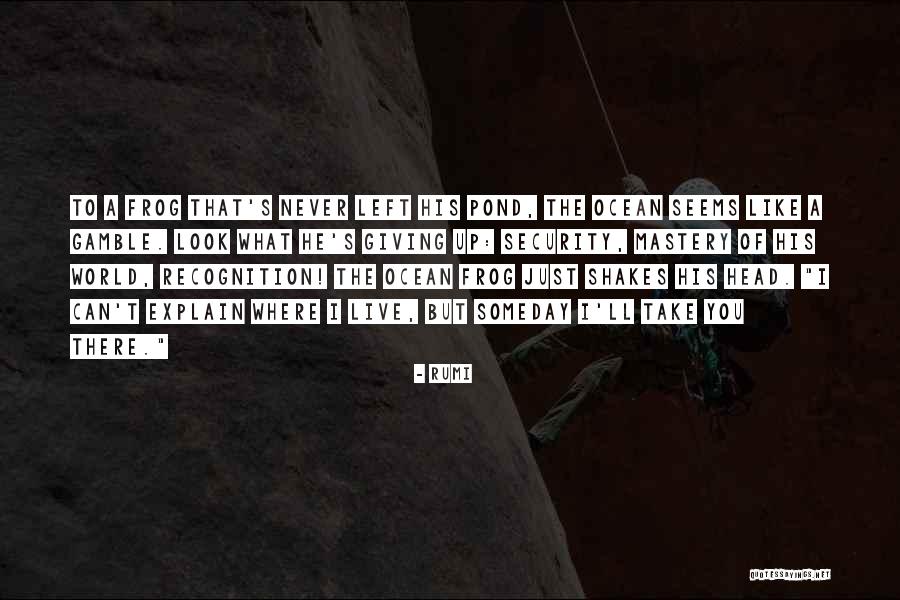 Ocean Inspirational Quotes By Rumi Ocean Inspirational Quotes By Rumi