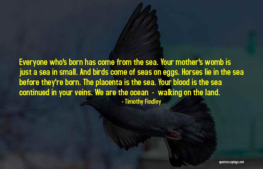 Ocean Inspirational Quotes By Timothy Findley Ocean Inspirational Quotes By Timothy Findley