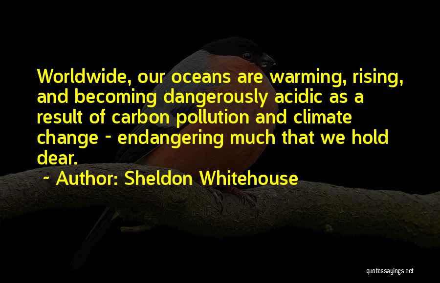 Ocean Pollution Quotes By Sheldon Whitehouse