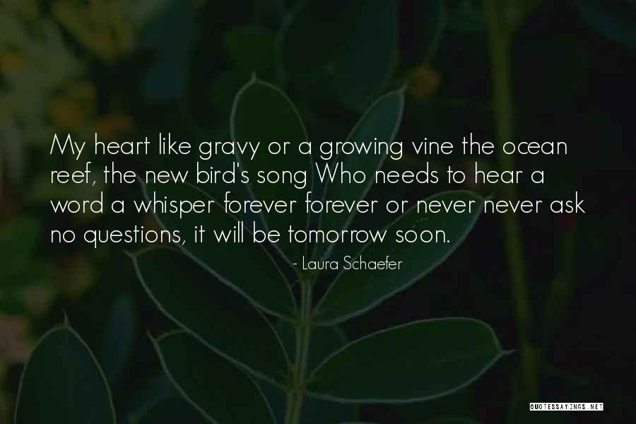 Ocean Reef Quotes By Laura Schaefer Ocean Reef Quotes By Laura Schaefer