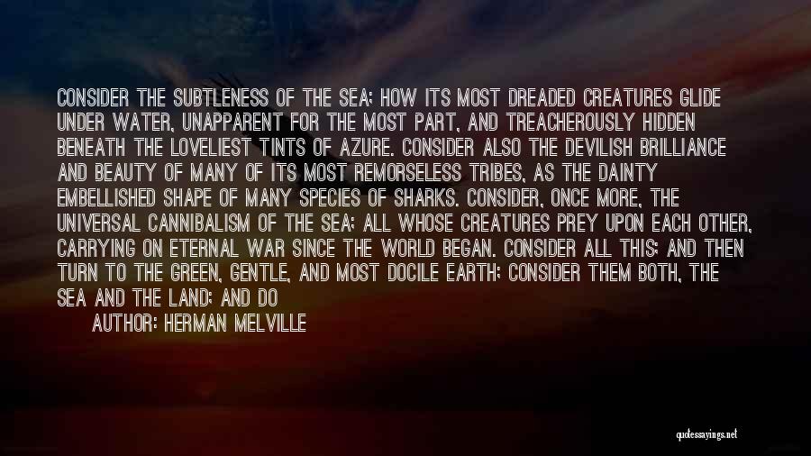 Ocean Sea Life Quotes By Herman Melville