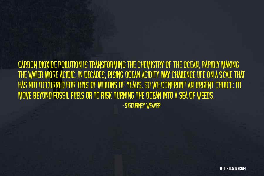 Ocean Sea Life Quotes By Sigourney Weaver