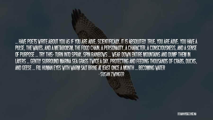 Ocean Sea Life Quotes By Susan Zwinger