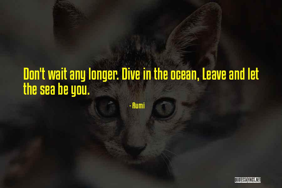 Ocean Sea Quotes By Rumi Ocean Sea Quotes By Rumi