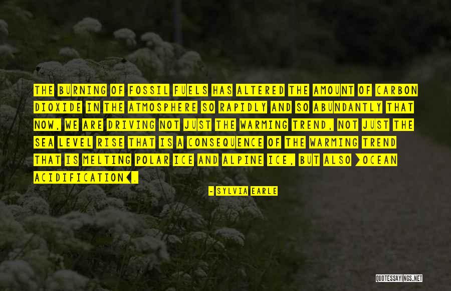 Ocean Sea Quotes By Sylvia Earle Ocean Sea Quotes By Sylvia Earle
