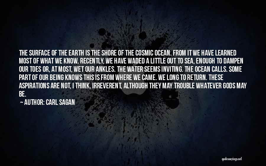 Ocean Sea Water Quotes By Carl Sagan