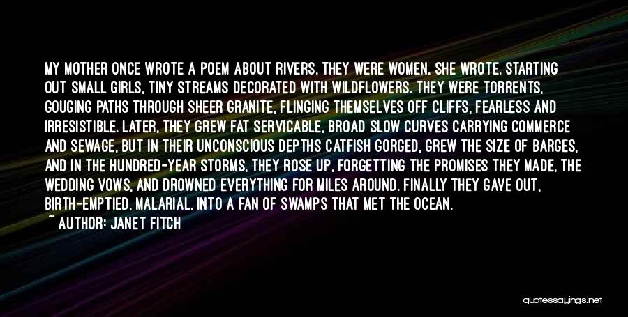 Ocean Size Quotes By Janet Fitch