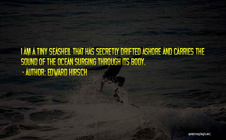 Ocean Sound Quotes By Edward Hirsch