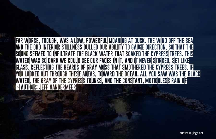 Ocean Sound Quotes By Jeff VanderMeer