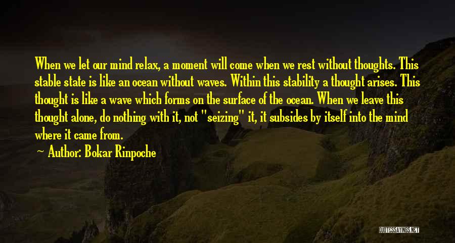 Ocean Surface Quotes By Bokar Rinpoche