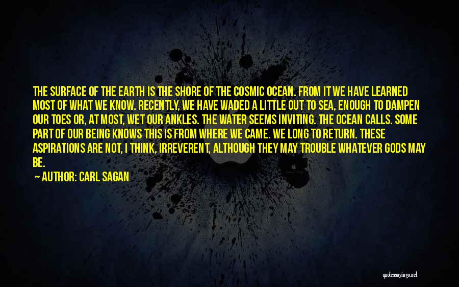 Ocean Surface Quotes By Carl Sagan