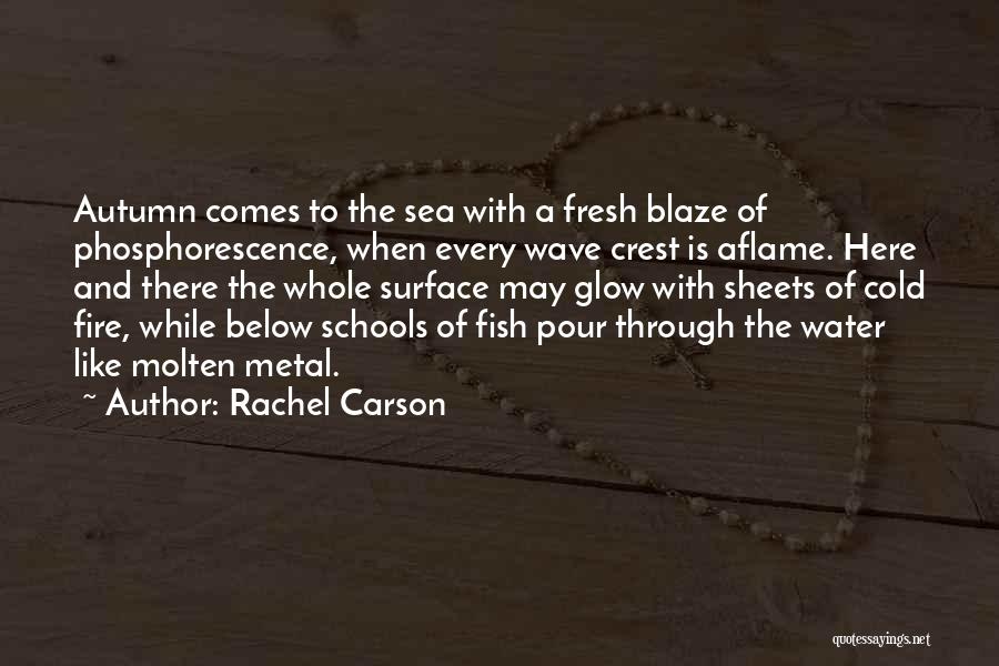 Ocean Surface Quotes By Rachel Carson