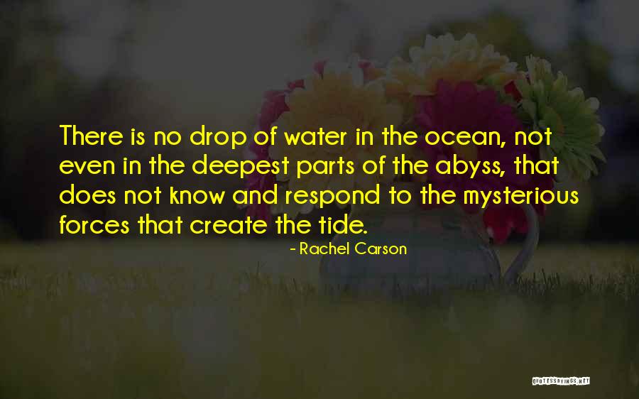 Ocean Tides Quotes By Rachel Carson