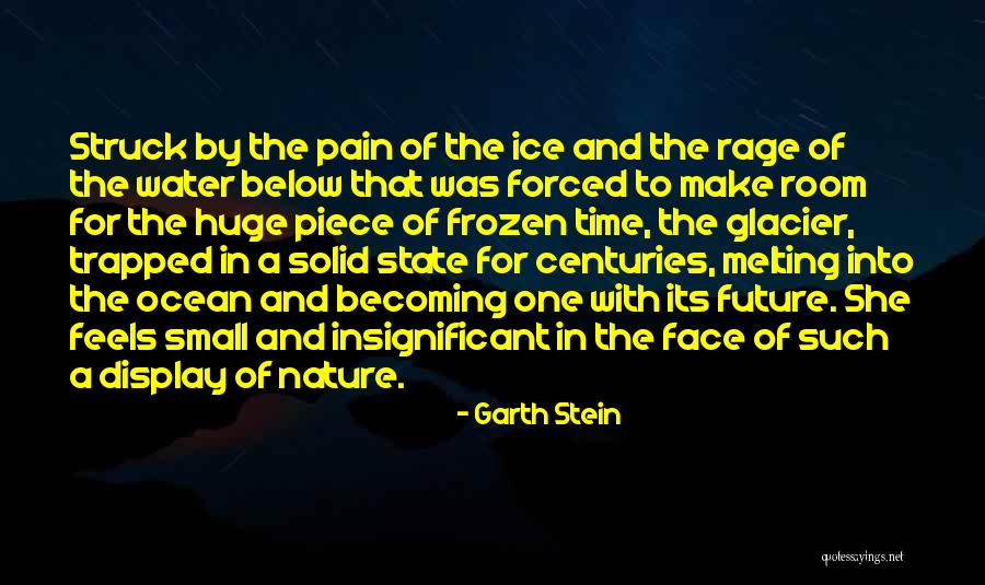 Ocean Water Insignificant Quotes By Garth Stein Ocean Water Insignificant Quotes By Garth Stein