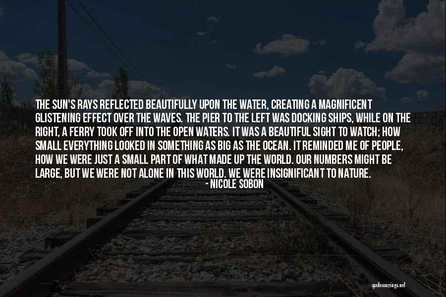 Ocean Water Insignificant Quotes By Nicole Sobon Ocean Water Insignificant Quotes By Nicole Sobon