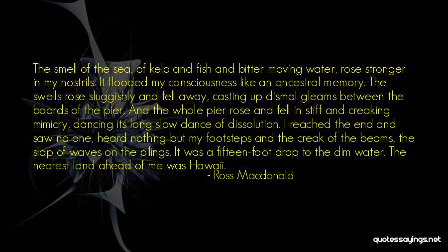 Ocean Water Quotes By Ross Macdonald