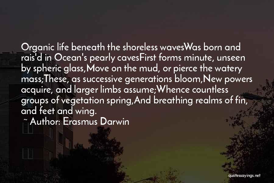 Ocean Waves And Life Quotes By Erasmus Darwin