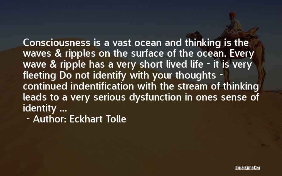 Ocean Waves Life Quotes By Eckhart Tolle