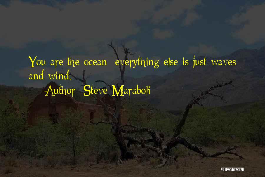 Ocean Waves Life Quotes By Steve Maraboli
