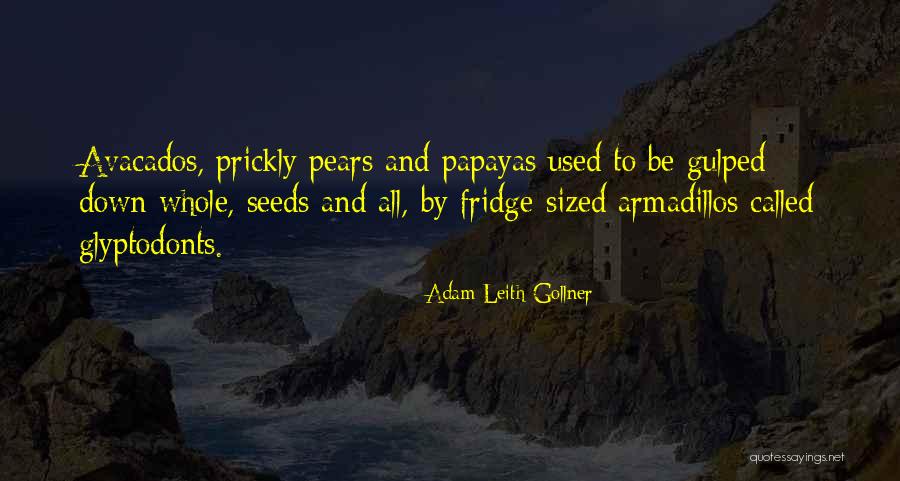 Oceanographer Quotes By Adam Leith Gollner Oceanographer Quotes By Adam Leith Gollner