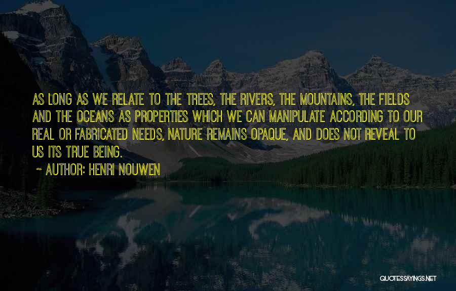 Oceans And Mountains Quotes By Henri Nouwen