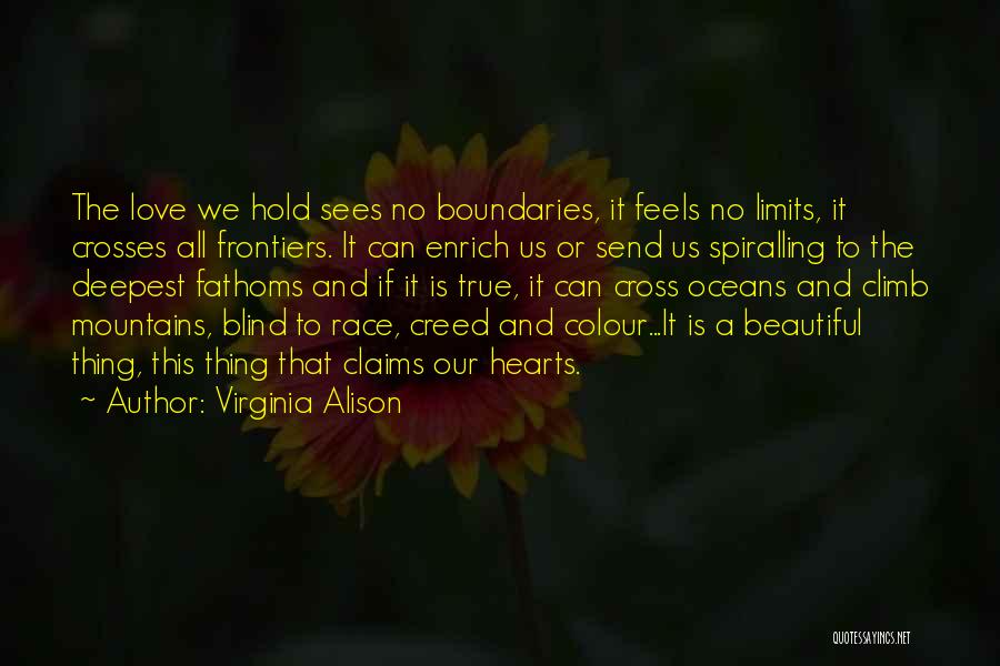 Oceans And Mountains Quotes By Virginia Alison